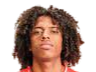 https://img.nbmzsy.com/img/football/player/135ad8787fd13961a93e165e79e736ff.png